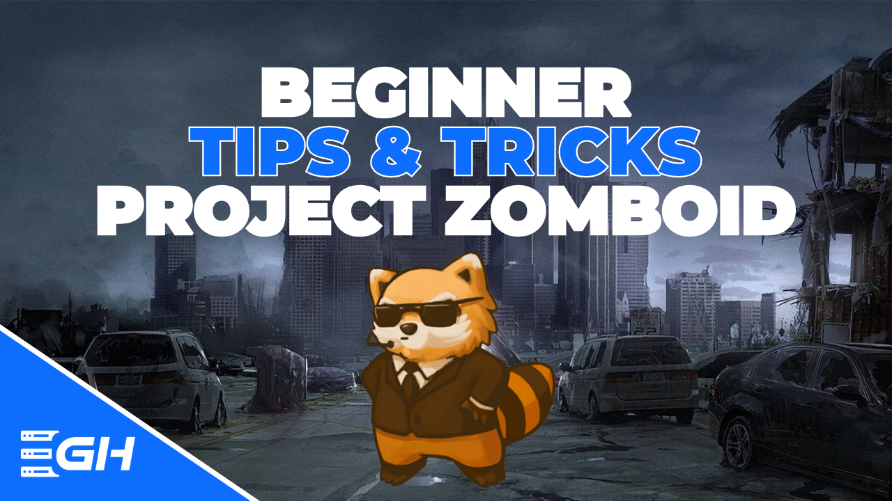 tips for PZ with Friends
